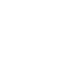 NEXT LEVEL