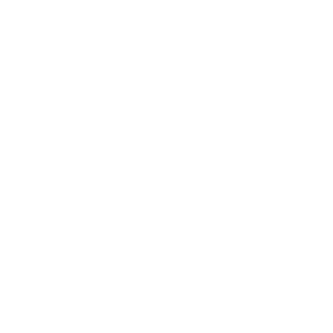 TRZECIADROGA 2050