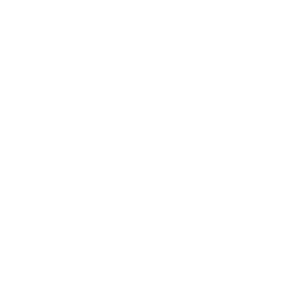 DMNTR-2